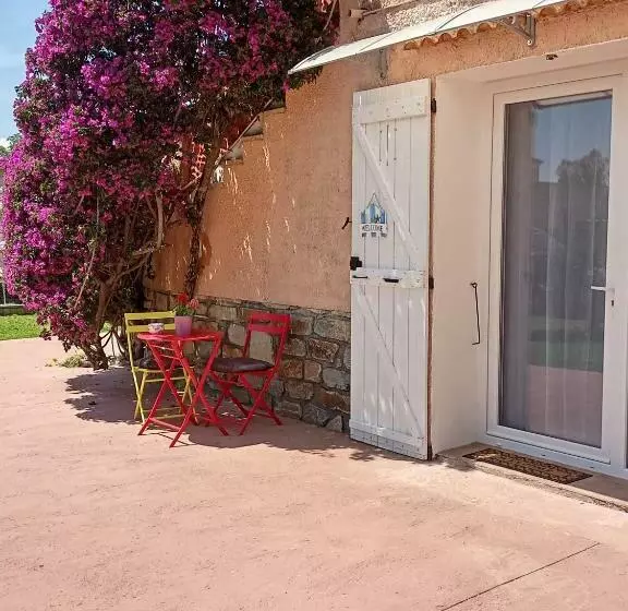 Un Nid Douillet En Bord De Plage !!