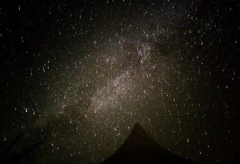 Unique Stargazing Escape With Ocean View