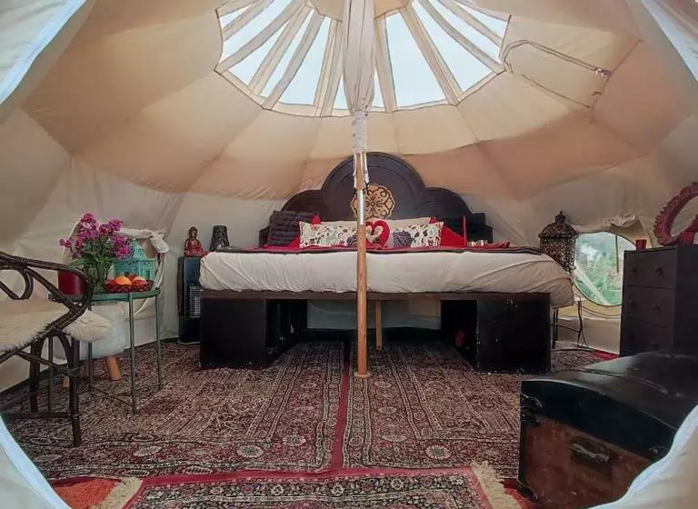 Unique Stargazing Escape With Ocean View