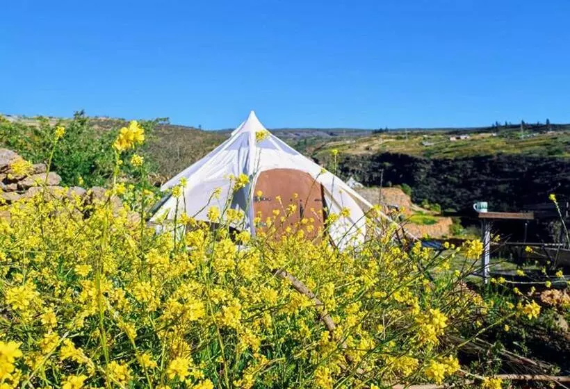 Unique Stargazing Escape With Ocean View