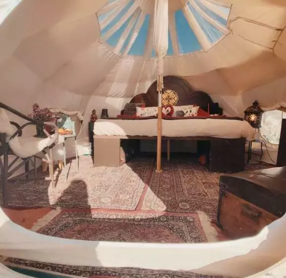 Unique Stargazing Escape With Ocean View