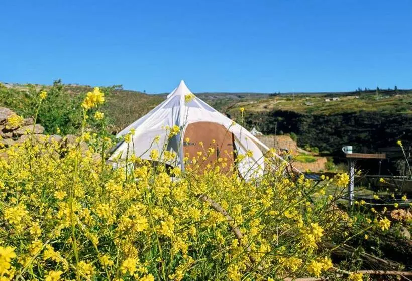 Unique Stargazing Escape With Ocean View