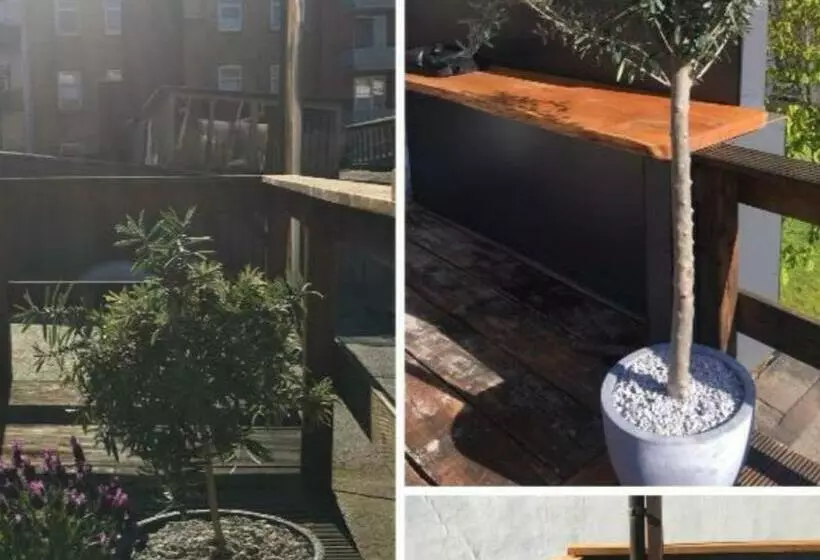 Ferienwohnung City Loft