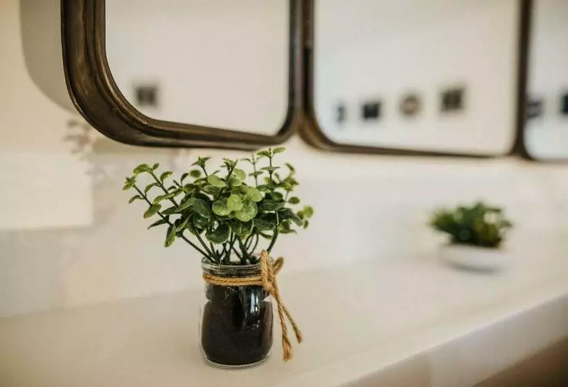 Appartements Cherbourg