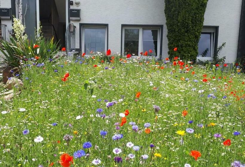 Ferienwohnung 43qm Torf 10 Nähe Möhnesee