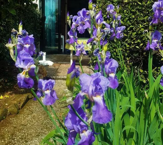 Le Jardin De La Plage   Linges Inclus