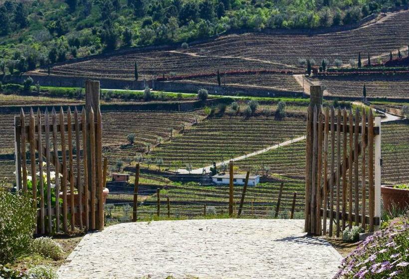 Quinta Dos Padrinhos   Suites In The Heart Of The Douro