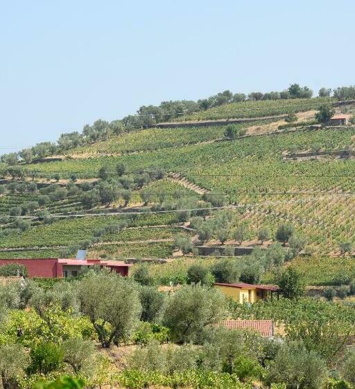 Quinta Dos Padrinhos   Suites In The Heart Of The Douro