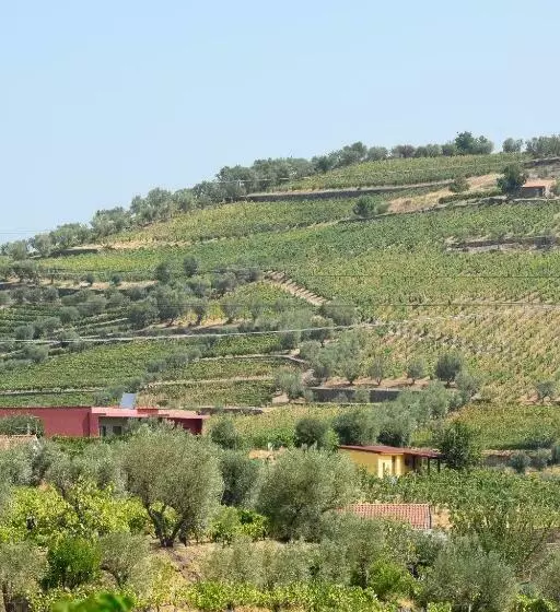 Quinta Dos Padrinhos   Suites In The Heart Of The Douro