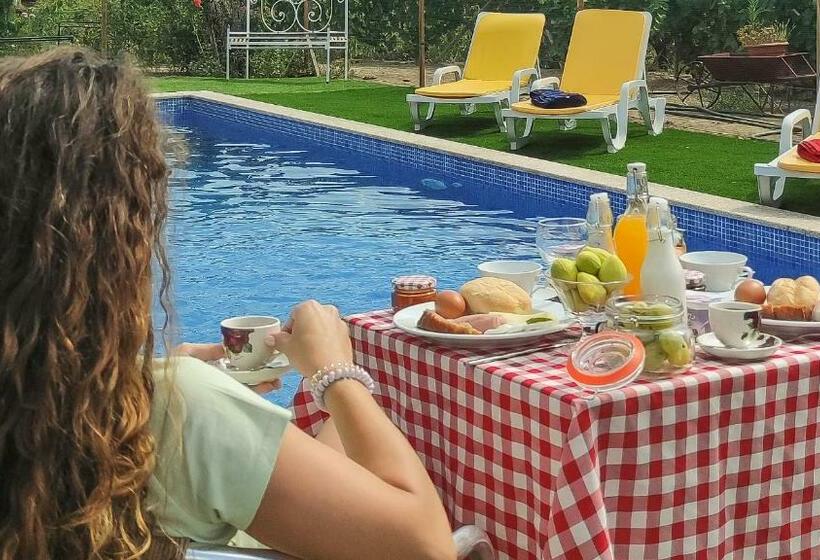 Quinta Dos Padrinhos   Suites In The Heart Of The Douro