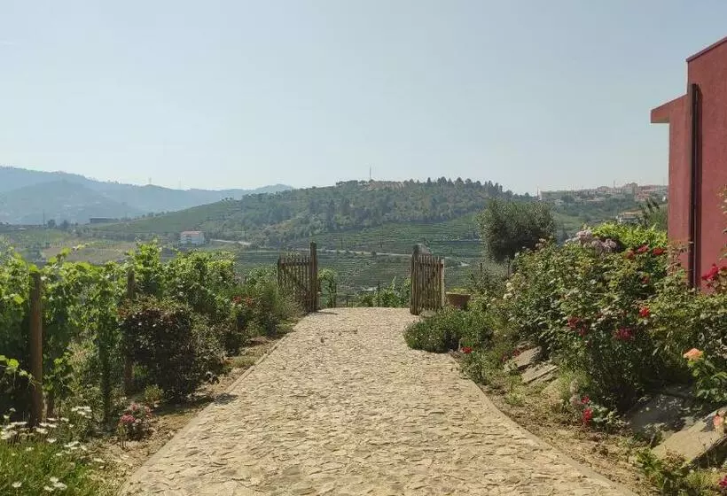 Quinta Dos Padrinhos   Suites In The Heart Of The Douro