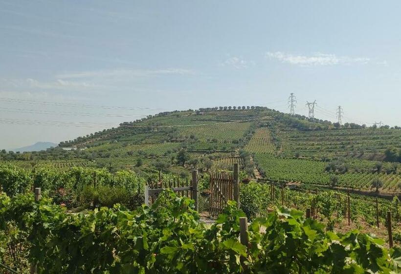 Quinta Dos Padrinhos   Suites In The Heart Of The Douro