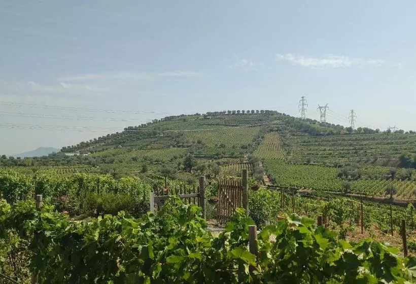 Quinta Dos Padrinhos   Suites In The Heart Of The Douro