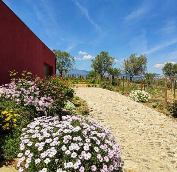 Quinta Dos Padrinhos   Suites In The Heart Of The Douro