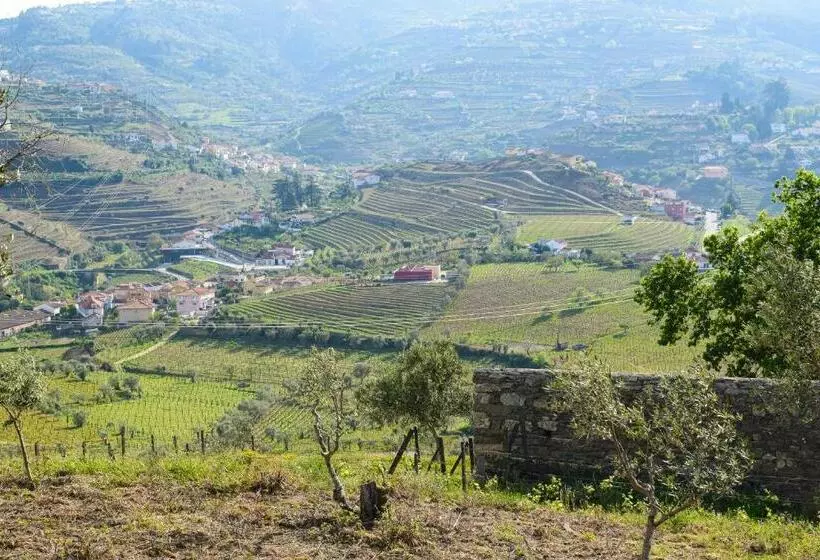 Quinta Dos Padrinhos   Suites In The Heart Of The Douro