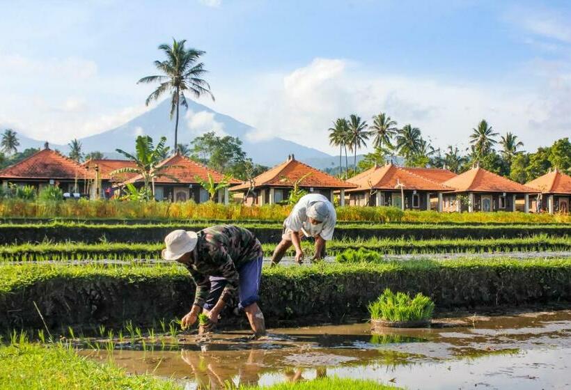Sri Lestari Banyuatis