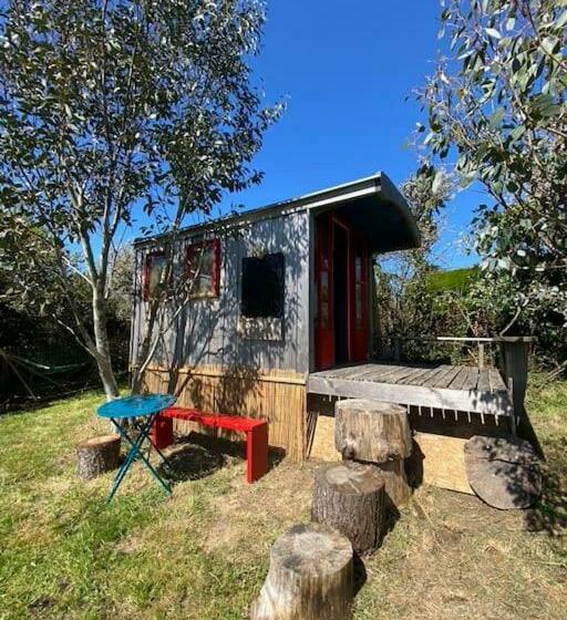 Bohémienne Regarde La Mer