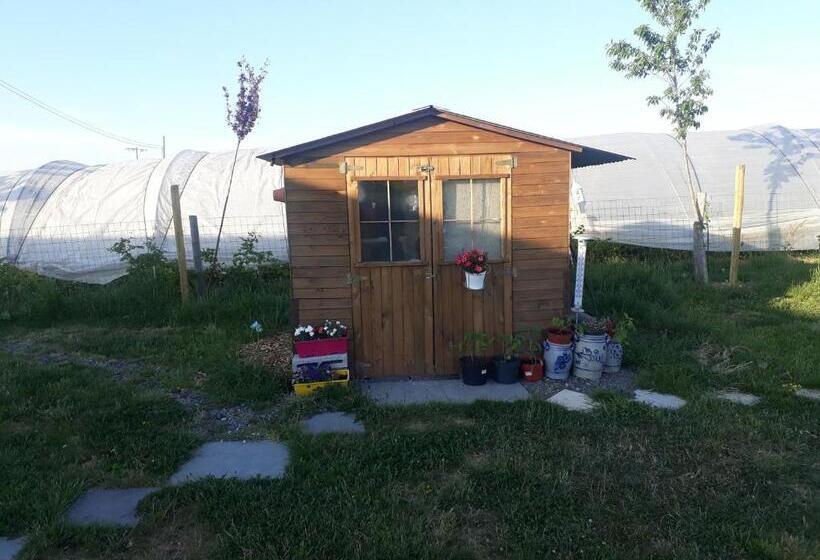 L Harmonie Du Jardin Gîte