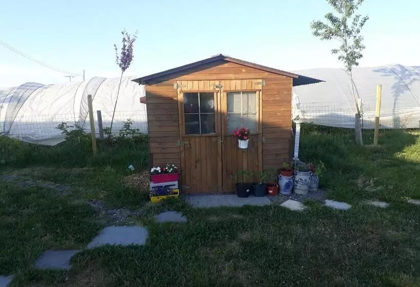 L Harmonie Du Jardin Gîte