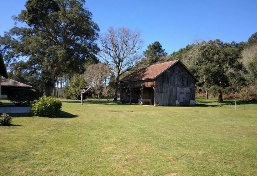 Le Petit Frouas Centre