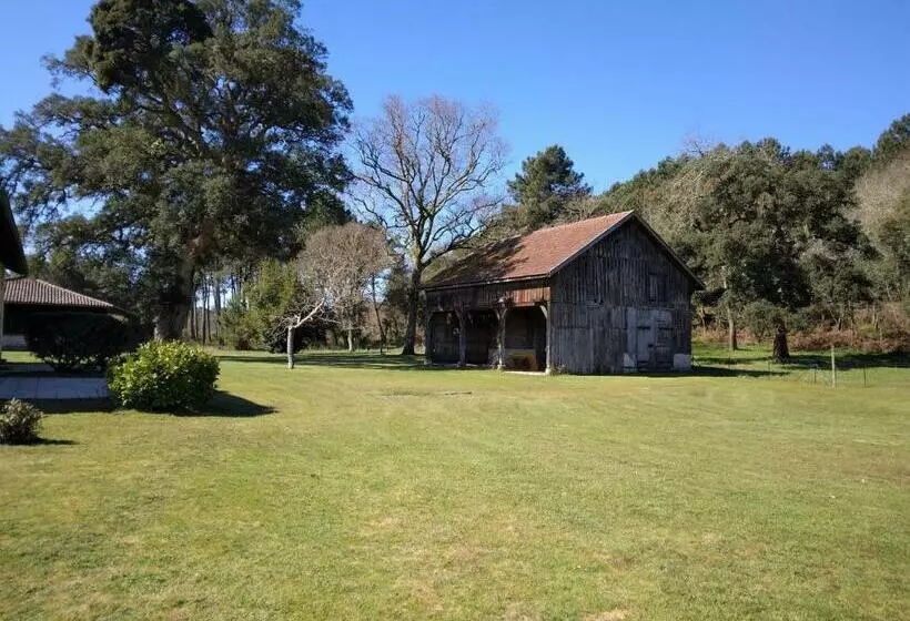 Le Petit Frouas Centre
