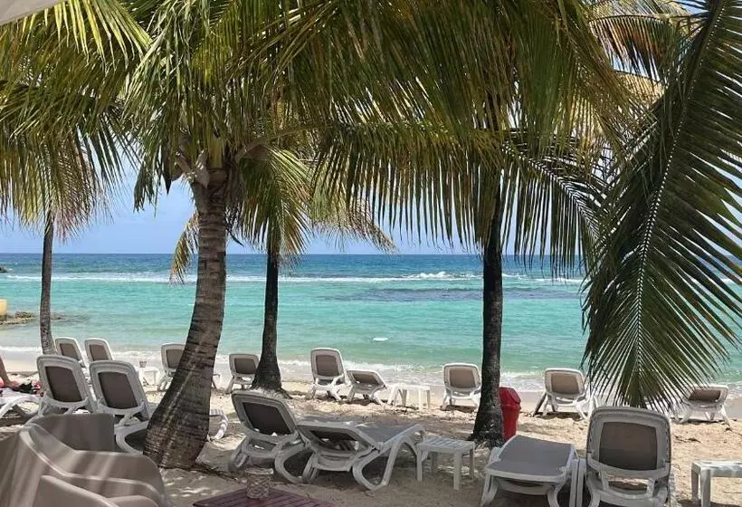Le Ti Paradis Du Manganao, Accès Direct Plage