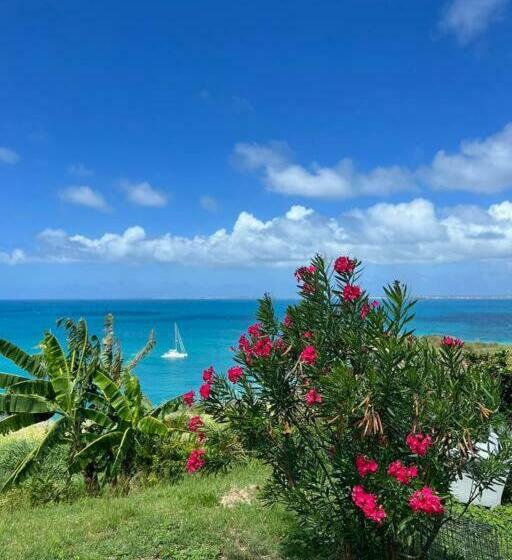 Location De Vacances Avec Vue Mer Exceptionnelle