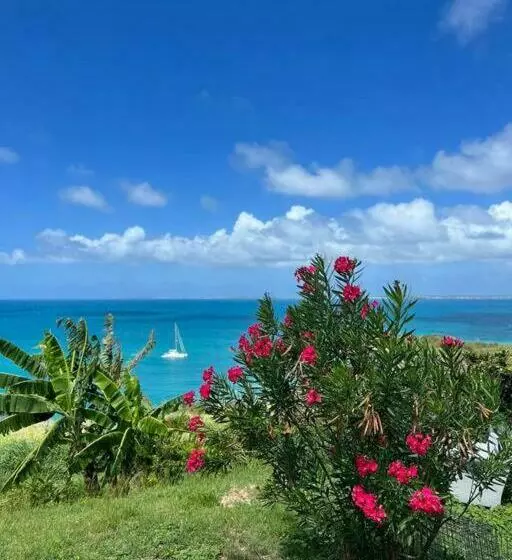 Location De Vacances Avec Vue Mer Exceptionnelle