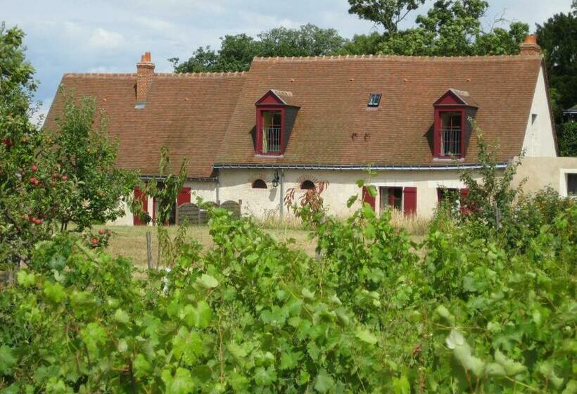 Cottage Du Vigneron