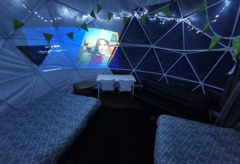 Countrylife Large Green Suite Road Noise