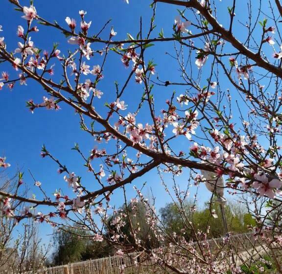 Entre Viñas, Sol Y Montañas
