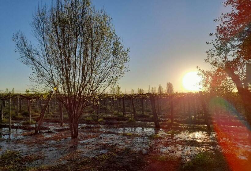 Entre Viñas, Sol Y Montañas