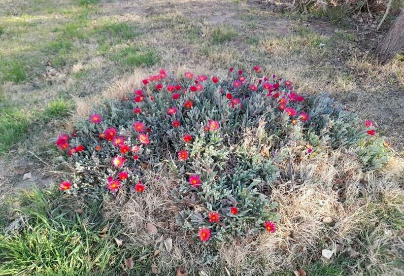 Entre Viñas, Sol Y Montañas