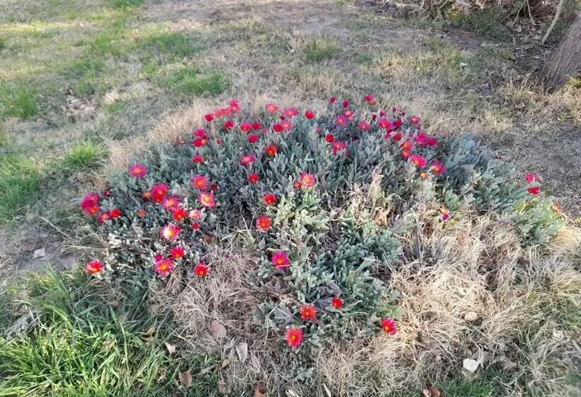 Entre Viñas, Sol Y Montañas