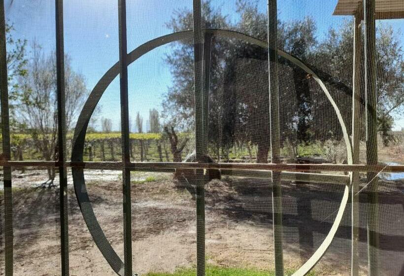 Entre Viñas, Sol Y Montañas