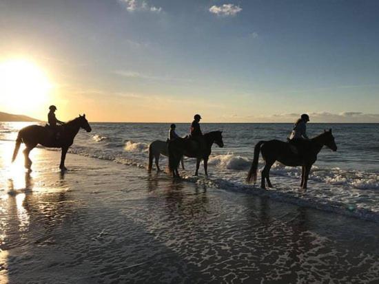 Les Pieds Dans L Eau Accès Direct à La Plage