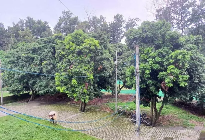 Nature View Homestay