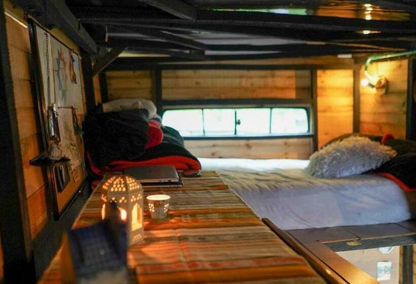 Palu Ecoaldea Reserva Forestal