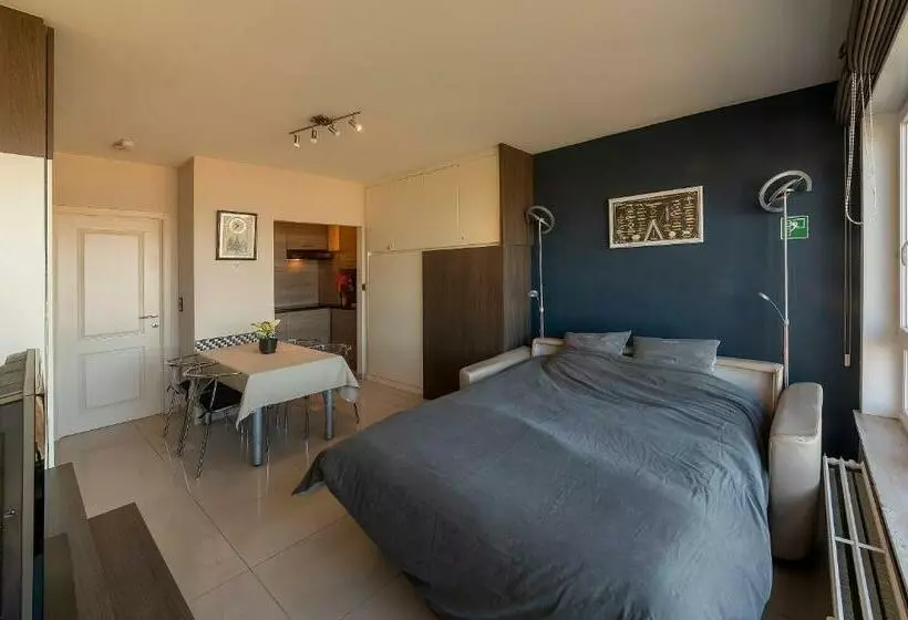 Splendid Seaview   Ostend Luxury Studio 4 Persons At Beach And Sea