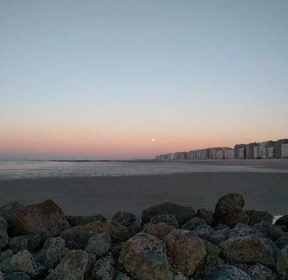 Splendid Seaview   Ostend Luxury Studio 4 Persons At Beach And Sea