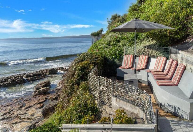 Stonefish For 10 Hyams Beach