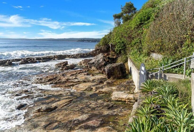 Stonefish For 10 Hyams Beach