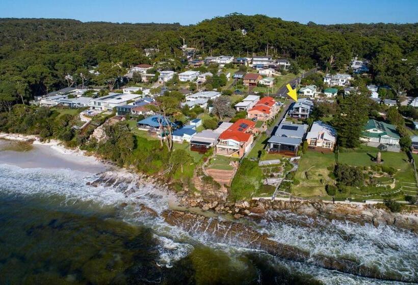 Stonefish For 10 Hyams Beach