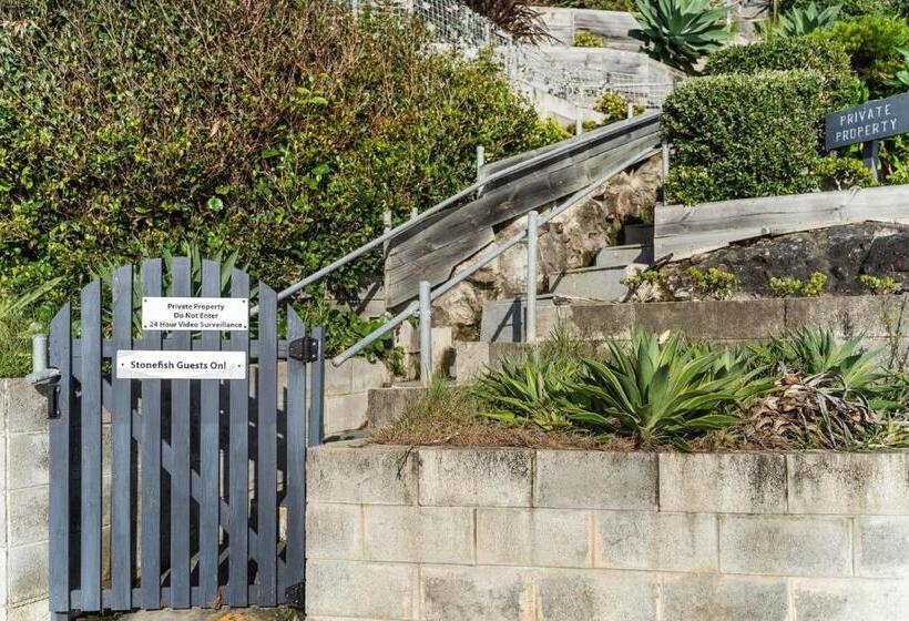 Stonefish For 10 Hyams Beach