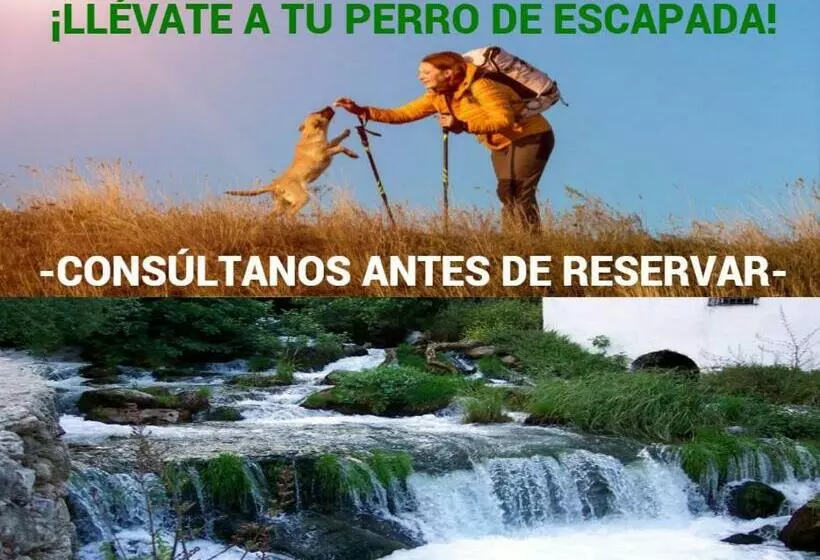 Apartamento Exclusivo   María 7