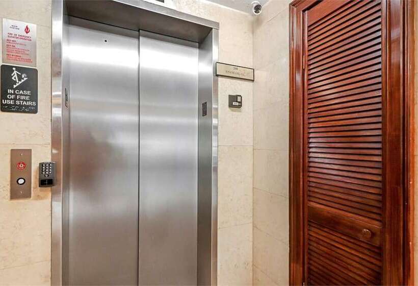 Roami At The Ralston