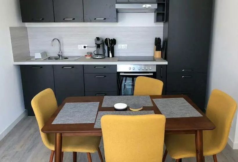 Sancerre Sunflower   Tournesol De Sancerre