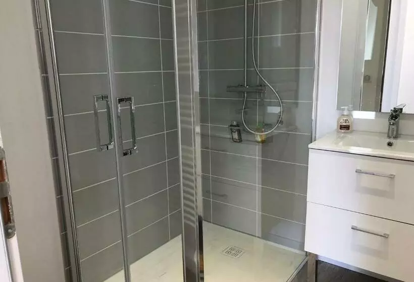 Sancerre Sunflower   Tournesol De Sancerre