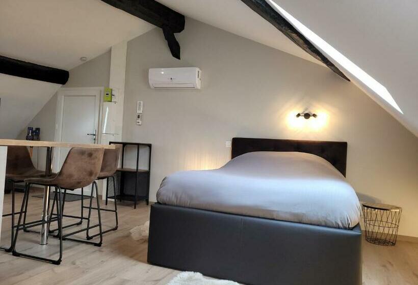 Studio Au Centre Ville