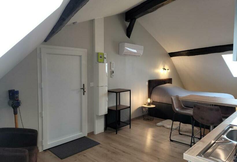 Studio Au Centre Ville